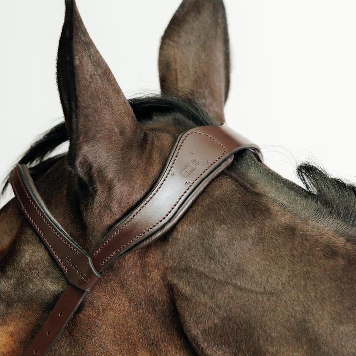 Produktbild Fouganza Gebisslose Trense Pferd/Pony braun