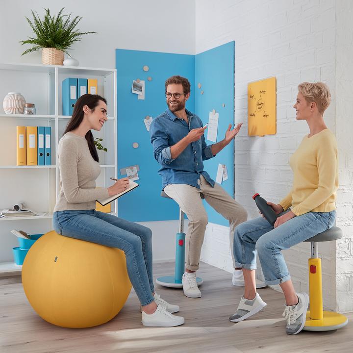 Image du produit Leitz Sitting Ball Ergo Cosy (65 cm)