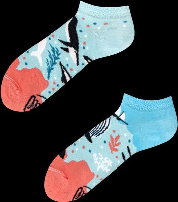 Actual product image Many Mornings Ocean Life (Single pack, 39 - 42)