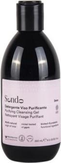 Sendo Purifying Cleansing Gel Face Wash 250ml (Gel, 250 ml)