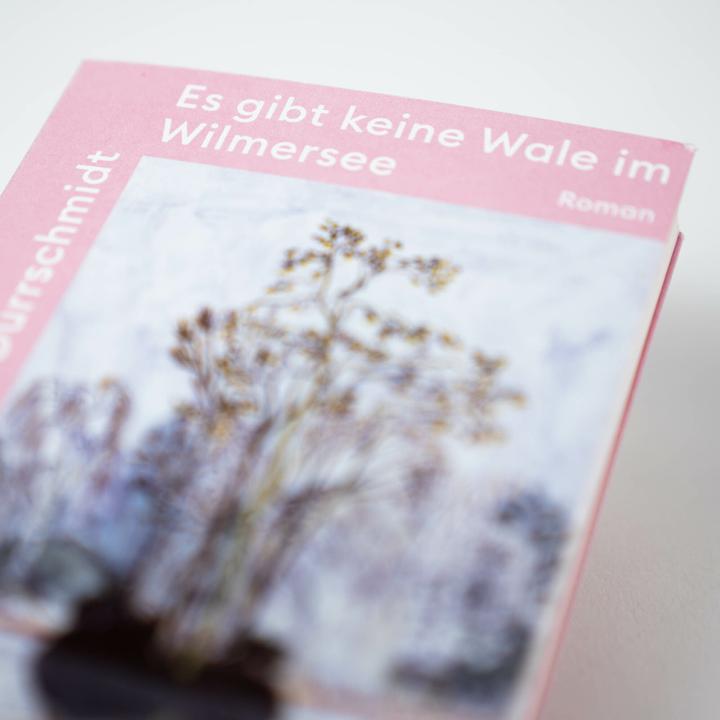 Produktbild Es gibt keine Wale im Wilmersee (Deutsch, Laura Dürrschmidt, 2023)