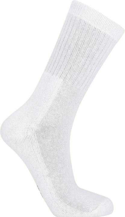 Actual product image Endurance Seko (x5) (39, 42)