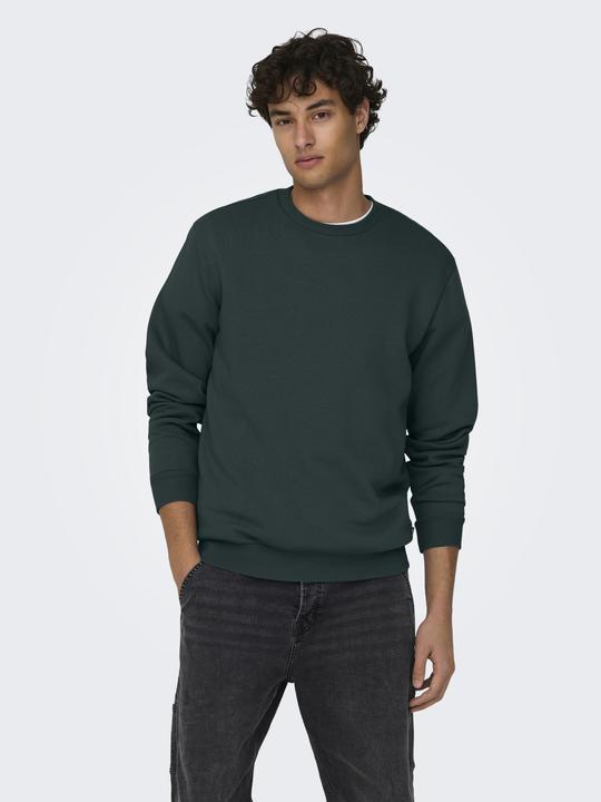 Immagine prodotto Only & Sons Onsceres Crew Neck Noos (M)