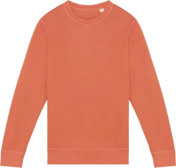 Native Spirit Sweatshirt (XL)