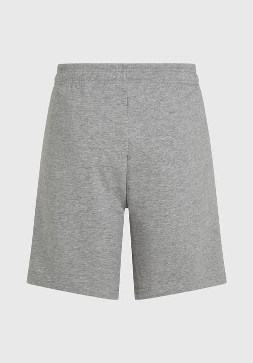 Produktbild O'Neill The Future Surf Society Shorts (XXL)