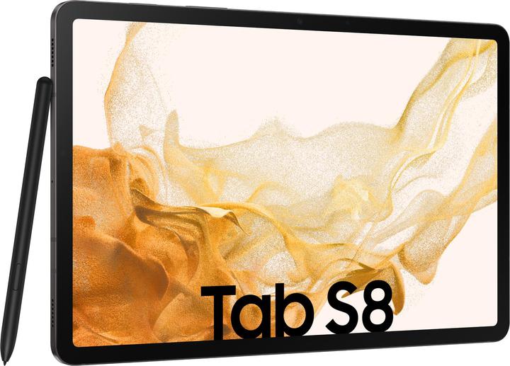 Actual product image Samsung Galaxy Tab S8 (WLAN only, 11", 128 GB, Graphites)