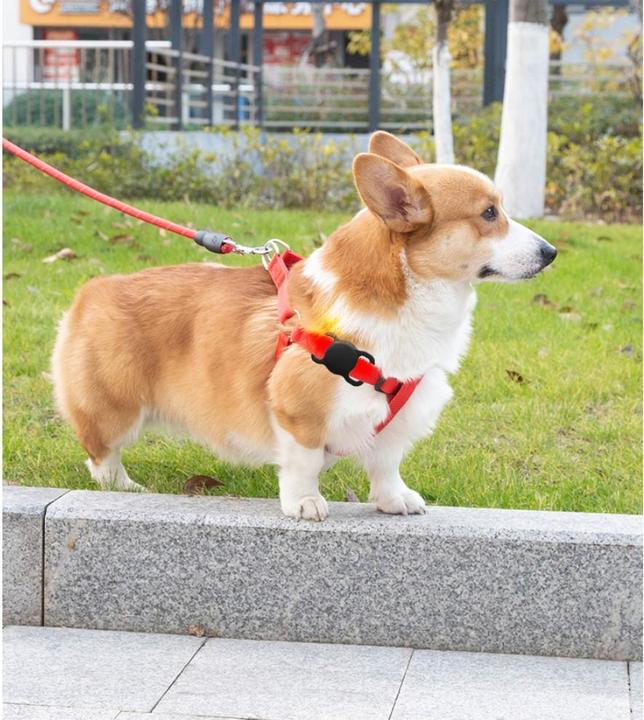 Produktbild Ueli Express Silikon Hunde und Katzen Halsband Halterung für Apple AirTag Grün