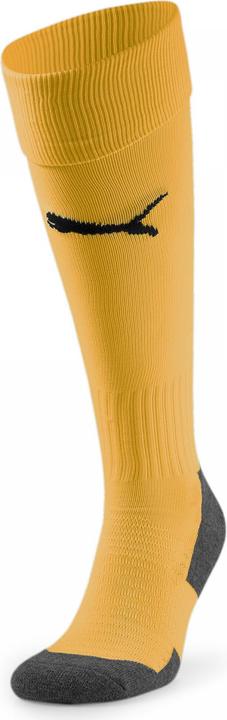 Actual product image Puma Team LIGA Socks CORE-703441 (35, 38)