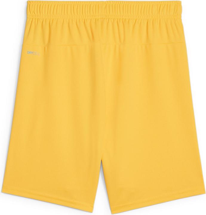 Actual product image Puma teamGOAL Shorts Jr (164)