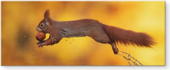 Actual product image Trenddeko van Duijn - Squirrel jumping (100 x 40 cm)