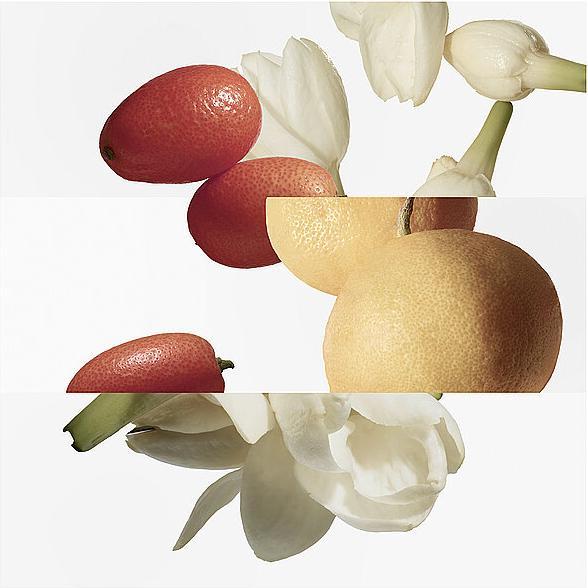 Actual product image Hermès Le Jardin de Monsieur Li (Eau de toilette, 50 ml)