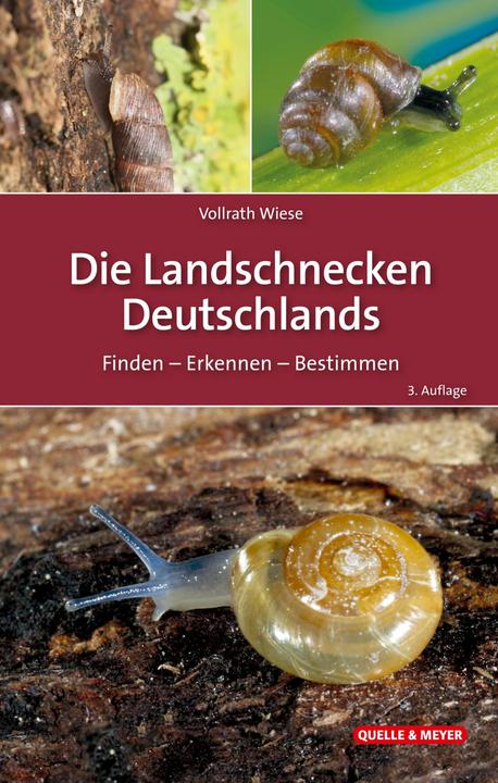 Produktbild Die Landschnecken Deutschlands (Deutsch, Vollrath Wiese, 2024)