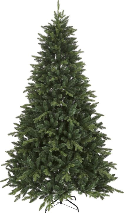 Star Trading Bergen (210 cm)