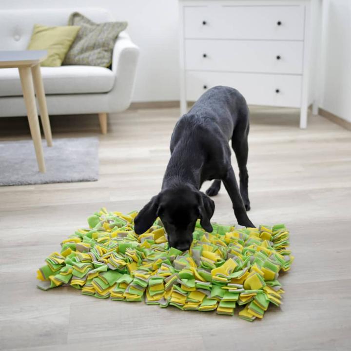 Produktbild Kerbl Schnüffelteppich (Intelligenzspielzeug Hund)