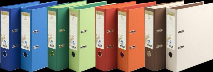 Bleu foncé - Vert foncé - Ivoire - Bleu clair - Vert clair - Orange - Rouge - Chocolat