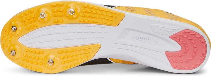 Produktbild Puma evoSPEED Distance 11 (42)