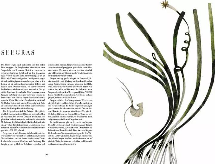 Image du produit Wunder der Natur (Allemand, Beatrice Forshall, 2023)