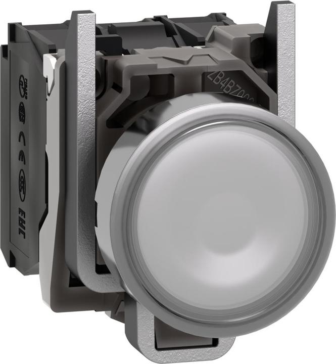 Produktbild Schneider Electric Drucktaster XB4BW31B5