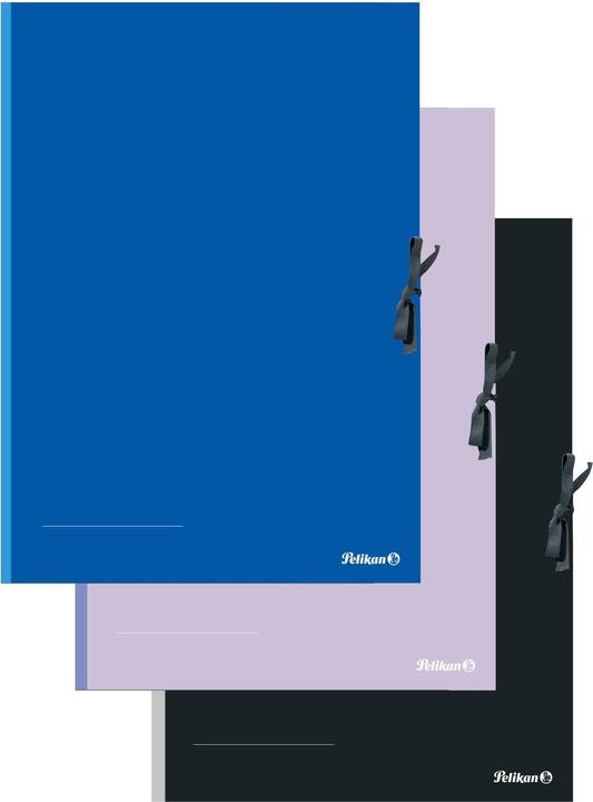 Produktbild Pelikan Sammelmappe (A2, 1 x)