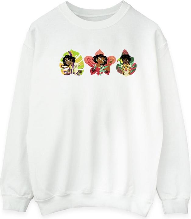 Disney Encanto Family Line Sweatshirt (XL)