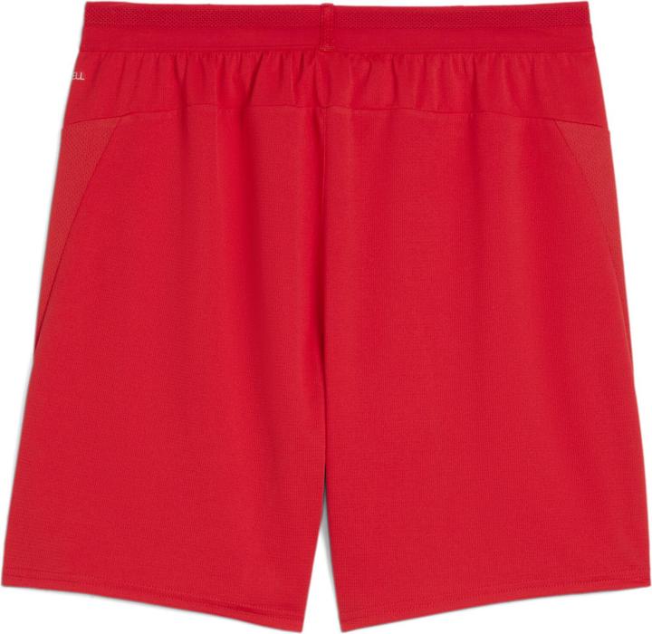 Produktbild Puma teamCUP Shorts (L)