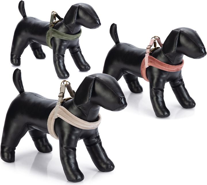 Produktbild Designed by Lotte Velura (XS, Hund, Spazieren)