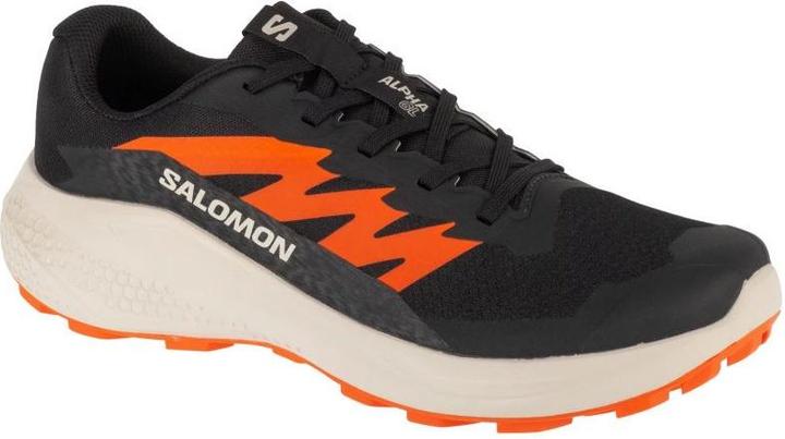 Salomon Alphaglide Laufschuhe (46)