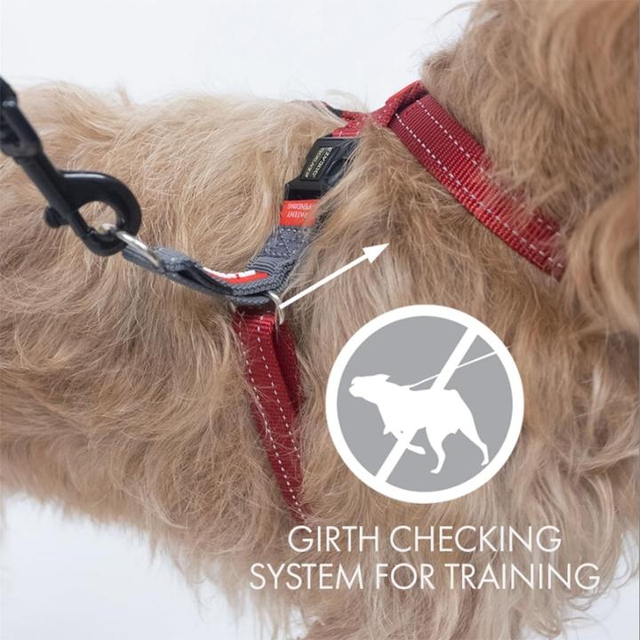 Image du produit EzyDog Crosscheck Harness - Hundegeschirr (S, Chien)