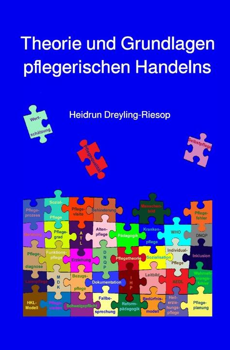 Produktbild Theorie und Grundlagen pflegerischen Handelns (Heidrun Dreyling-Riesop, 2021)