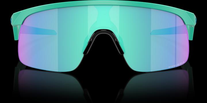 Actual product image Oakley Resistor (Mat Celeste, Prizm Sapphire)