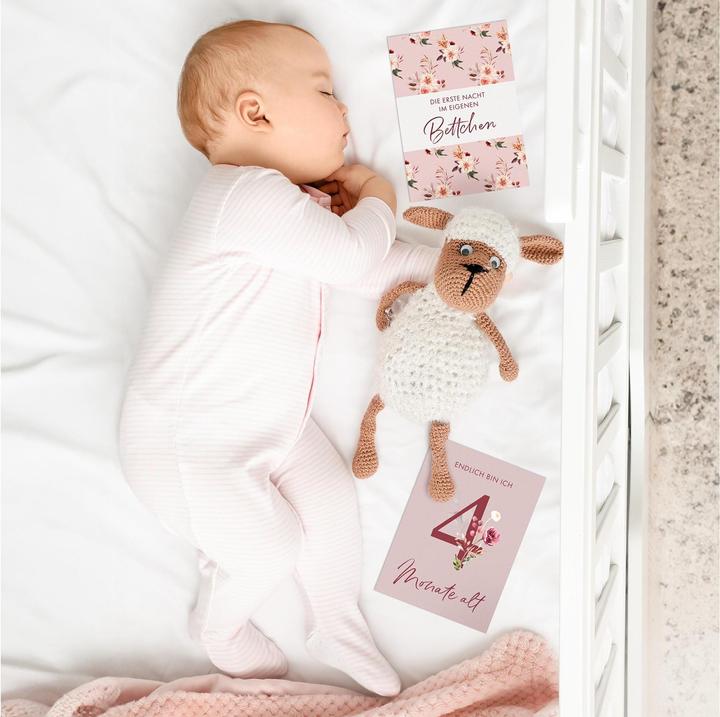 Produktbild Eulentaler Baby-Meilensteinkarten Blumen