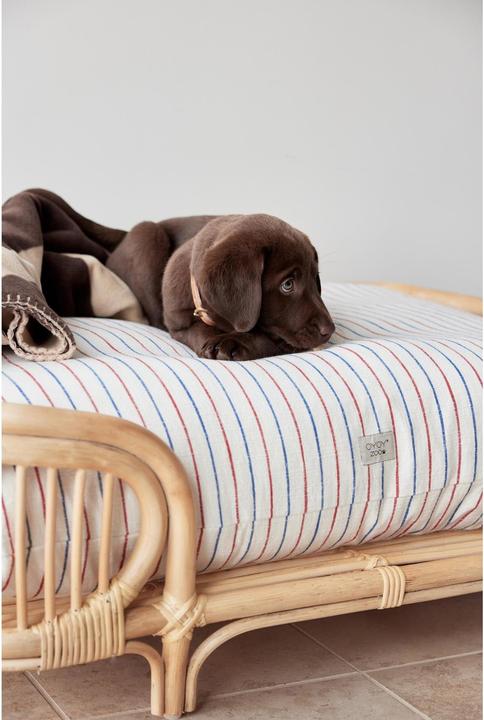 Image du produit Oyoy Lit pour chien Otto (Chien)