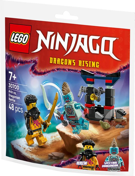 Actual product image LEGO 30700 Arins Duell mit dem Drachenmenschen (30700, LEGO Ninjago)