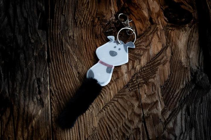 Actual product image Softreflector Dog Rudof