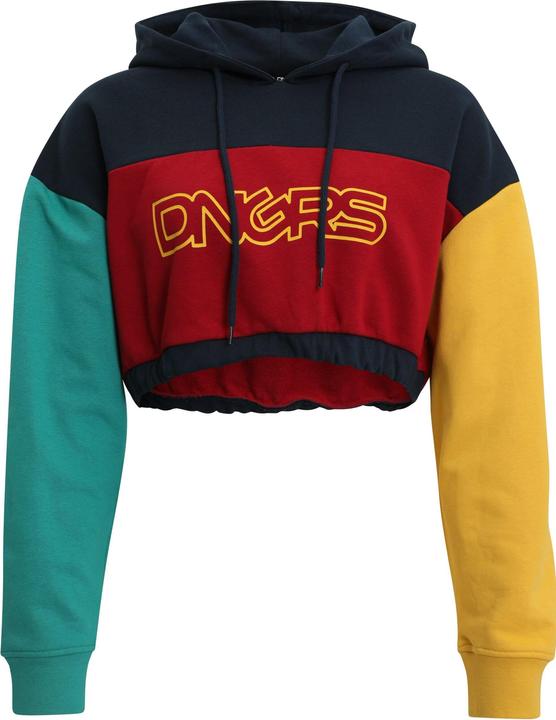 Image du produit Dangerous DNGRS Sweat à capuche 4C - 139053 (L)