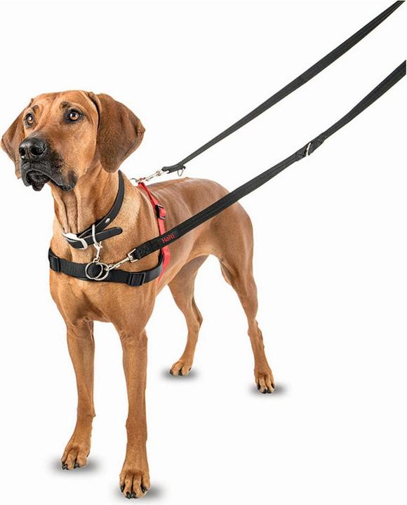 Produktbild Company of Animals Halti Antizug M Front Control (M, Hund, Allgemein)