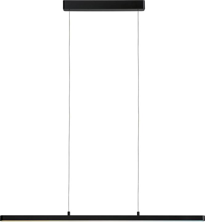 Productafbeelding Paulmann PAUL LED hanglamp (2100 lm)
