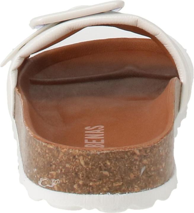 Actual product image Verbenas Reiko (39)