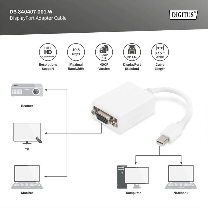 Immagine prodotto Digitus Cavo adattatore DisplayPort, mini DP - HD15 St/Bu DP, CE, bianco (Mini DP, 15 cm)