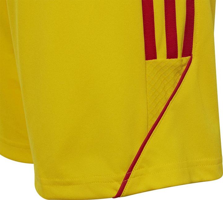 Actual product image adidas Tiro 23 training shorts kids (128)
