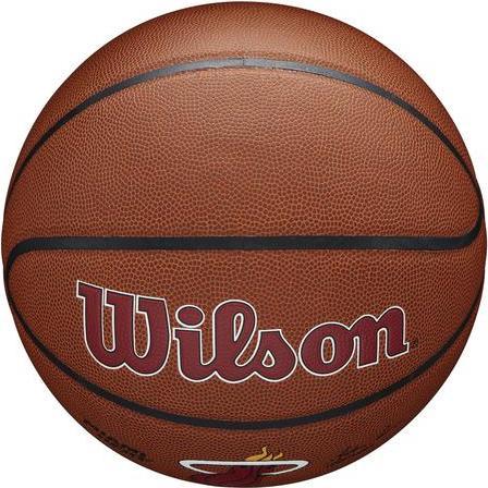 Wilson Basketball NBA Team Alliance Miami Heat (7)
