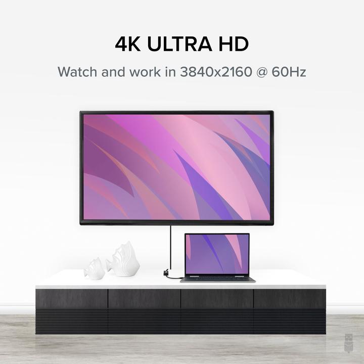 Immagine prodotto Plugable Adattatore da USB C a VGA (USB-C)
