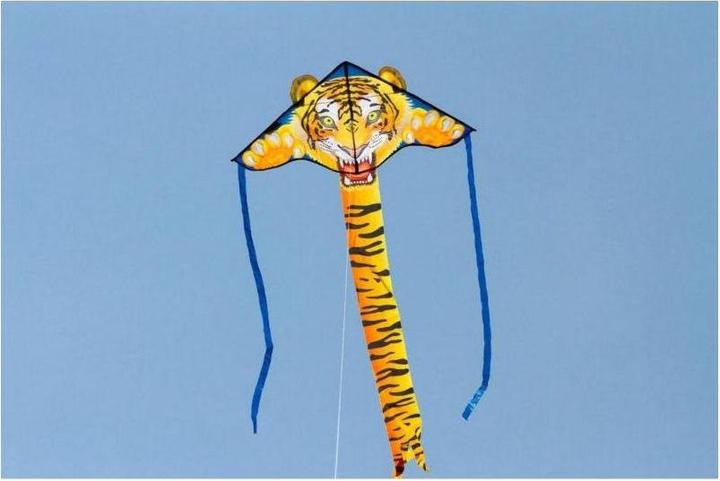 Produktbild Invento Simple Flyer Tiger