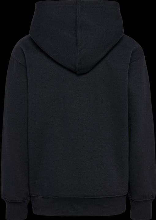 Actual product image hummel hmlCLEAN HOODIE (164)