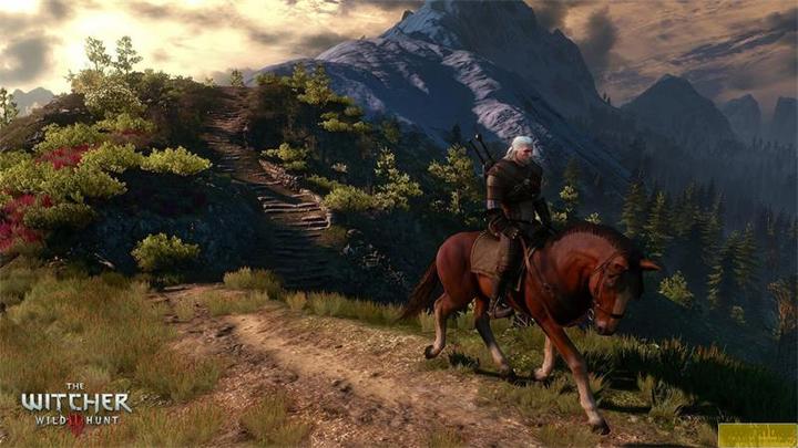 Actual product image Bandai Namco The Witcher 3: Wild Hunt - GOTY (PS4, Multilingual)