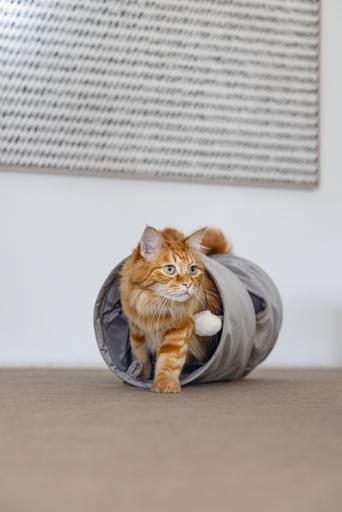 Actual product image Designed by Lotte Cylla (Cat tunnel)