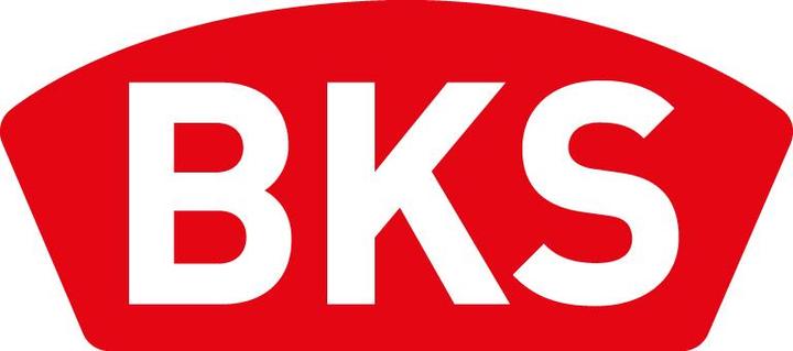 Energie-Label BKS Schliessblech flach/eckig, Fallendurchbruch 12 mm, 216,5x24 mm Edelstahl (Türgriff)