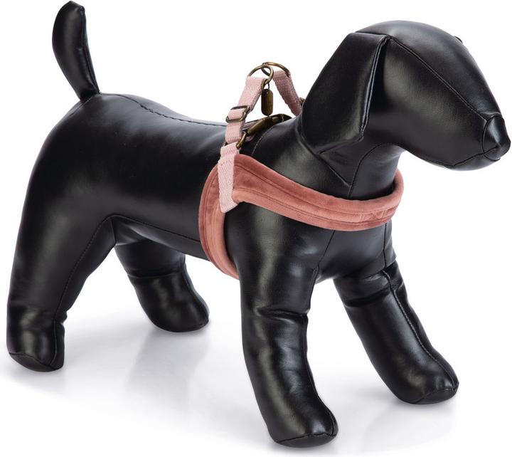 Produktbild Designed by Lotte Velura (XXS, XS, S, M, L, Hund, Allgemein)