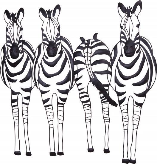 Möbel Direkt Online Zebras