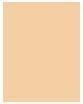 Actual product image Shiseido Synchro Skin Rad Lifting Fond de Teint No 220 (220 lines)